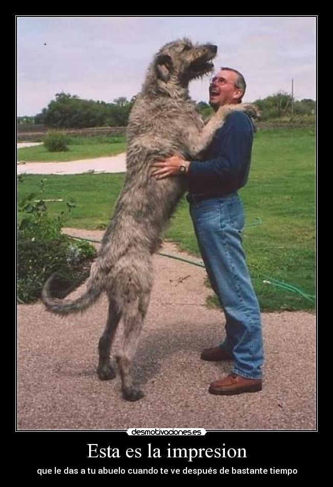 Esta es la impresion - que le das a tu abuelo cuando te ve después de bastante tiempo