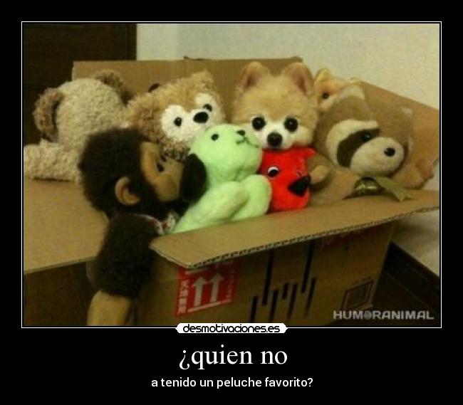 ¿quien no - 