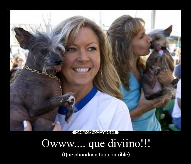 Owww.... que diviino!!! - (Que chandoso taan horrible)