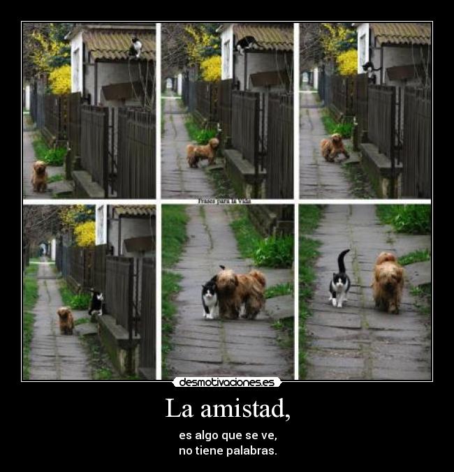 La amistad, - es algo que se ve,
no tiene palabras.