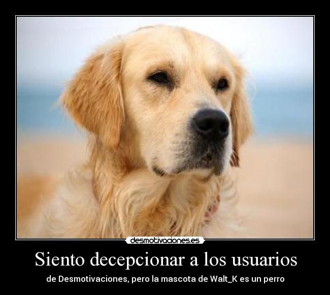 Siento decepcionar a los usuarios - de Desmotivaciones, pero la mascota de Walt_K es un perro