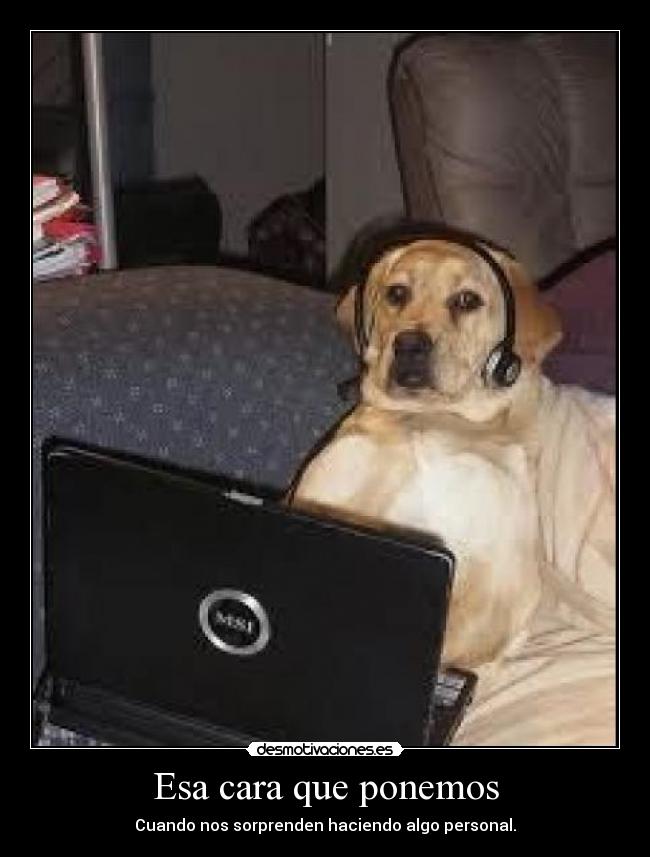 carteles perro con lapto estas feliz nubecita pablo gomezl desmotivaciones