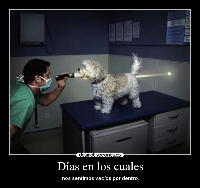 Días en los cuales -