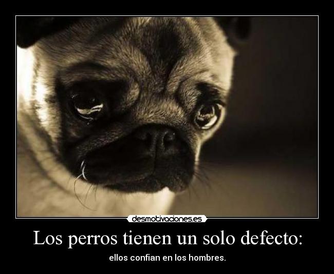 Los perros tienen un solo defecto: - 