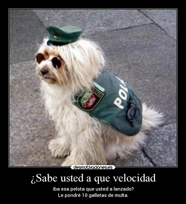 ¿Sabe usted a que velocidad -
