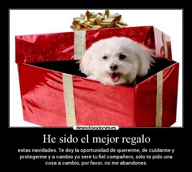 He sido el mejor regalo - estas navidades. Te doy la oportunidad de quererme, de cuidarme y
protegerme y a cambio yo serè tu fiel compañero, sòlo te pido una
cosa a cambio, por favor, no me abandones.