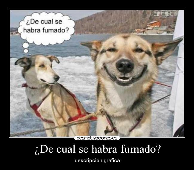¿De cual se habra fumado? - 