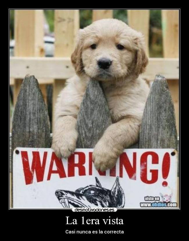 La 1era vista - Casi nunca es la correcta