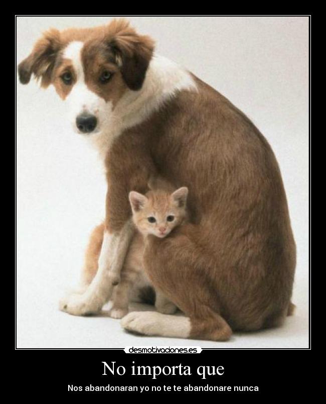 No importa que - Nos abandonaran yo no te te abandonare nunca