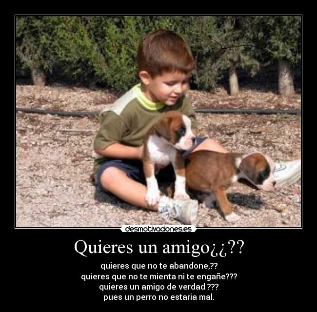 Quieres un amigo¿¿?? - 