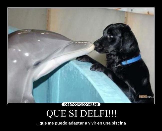 QUE SI DELFI!!! -