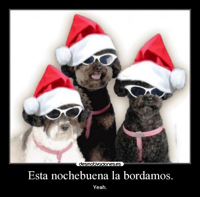 Esta nochebuena la bordamos. -