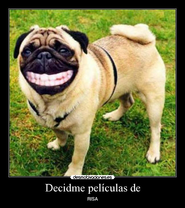 Decidme películas de - RISA