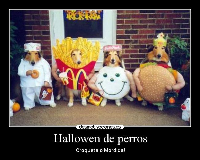 Hallowen de perros -