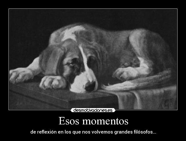 Esos momentos - de reflexión en los que nos volvemos grandes filósofos...