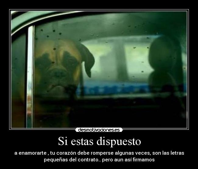 Si estas dispuesto -