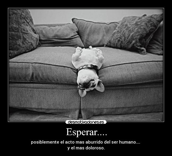 Esperar.... - posiblemente el acto mas aburrido del ser humano.... 
y el mas doloroso.