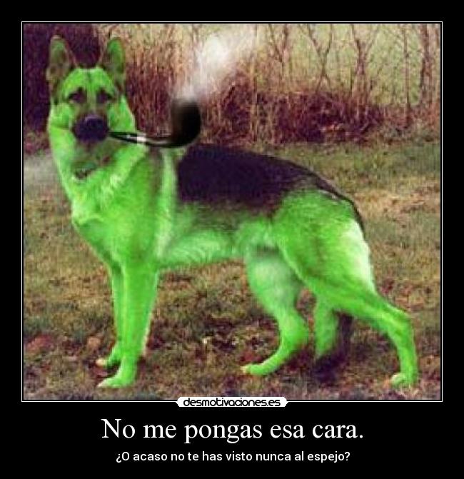 No me pongas esa cara. - ¿O acaso no te has visto nunca al espejo?