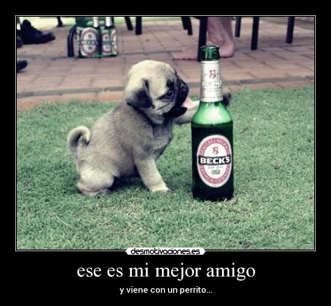 ese es mi mejor amigo - 