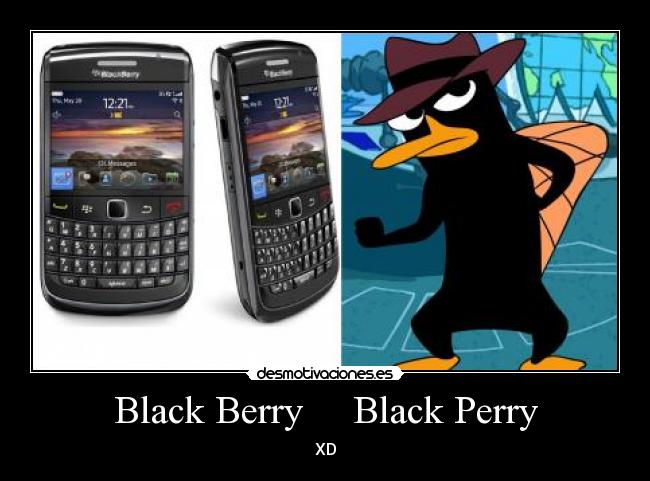 Black Berry     Black Perry - 