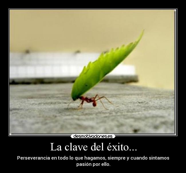 La clave del éxito... -