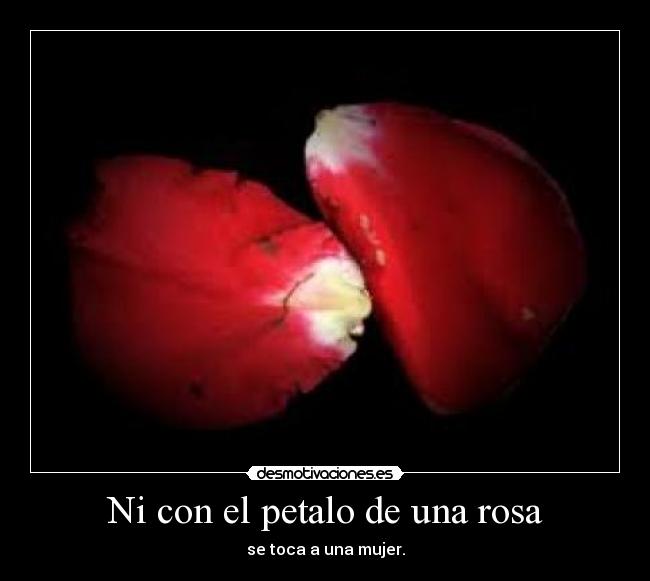 Ni con el petalo de una rosa - 