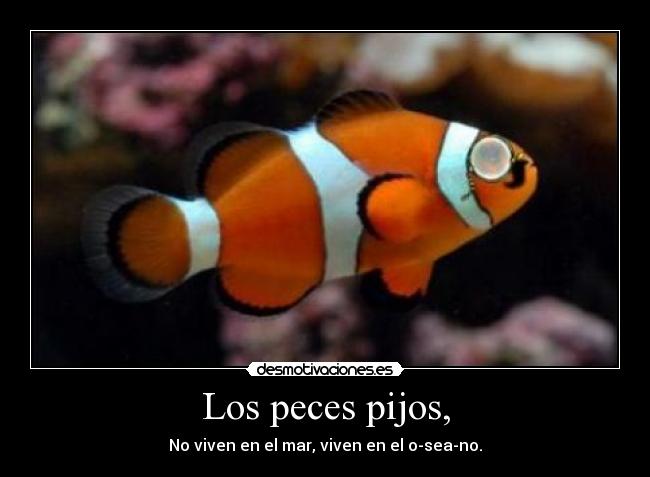 Los peces pijos, - 