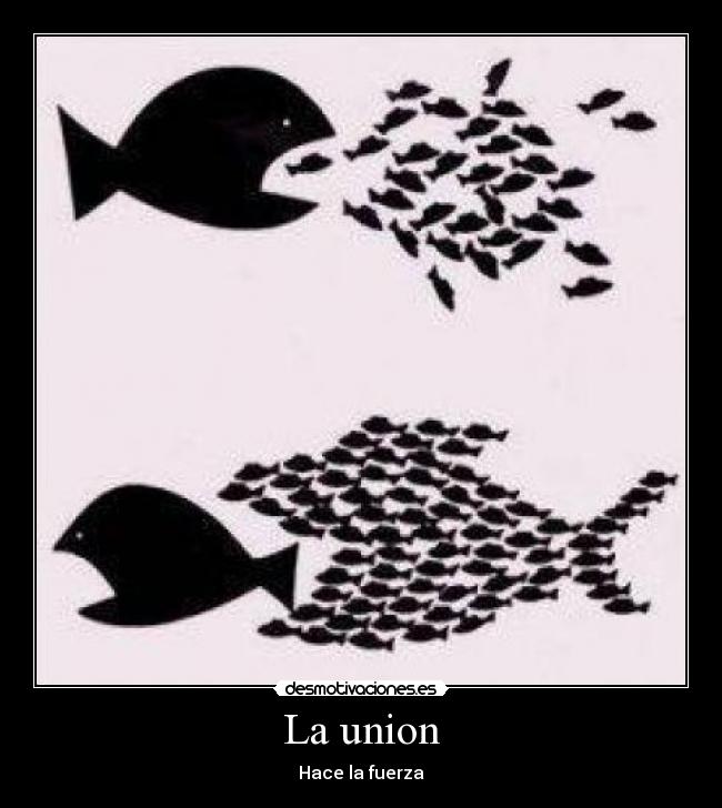 La union - Hace la fuerza