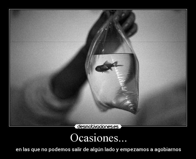 Ocasiones... -