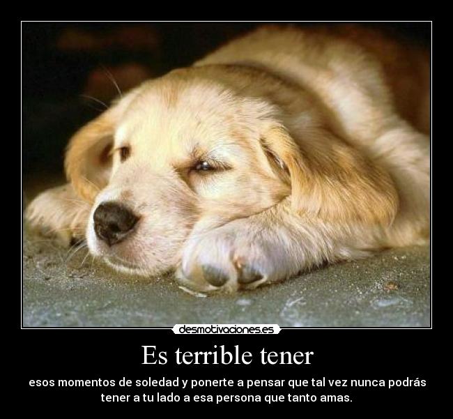 Es terrible tener - 