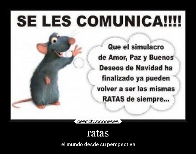 ratas - el mundo desde su perspectiva