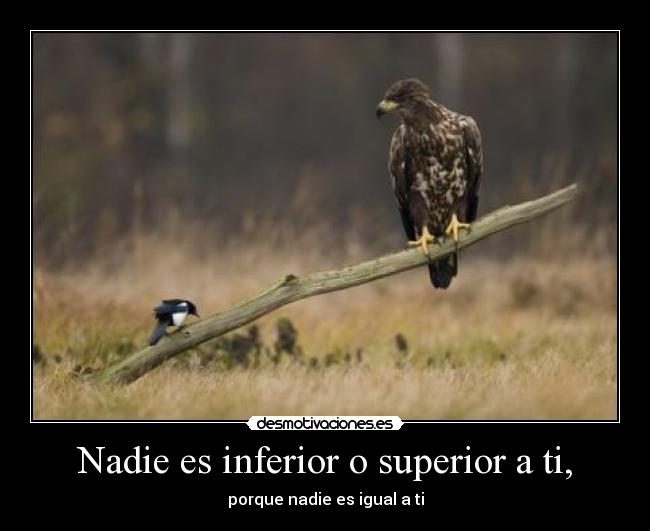 Nadie es inferior o superior a ti, - porque nadie es igual a ti