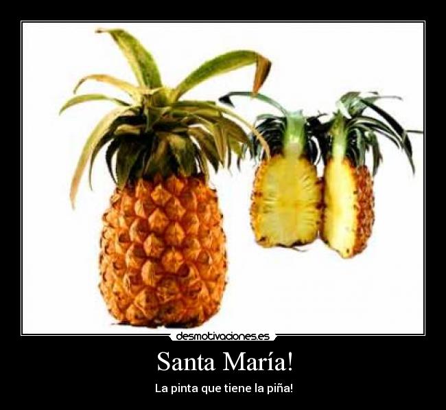 Santa María! - La pinta que tiene la piña!