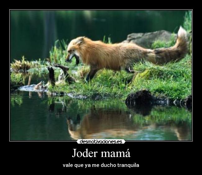 Joder mamá -