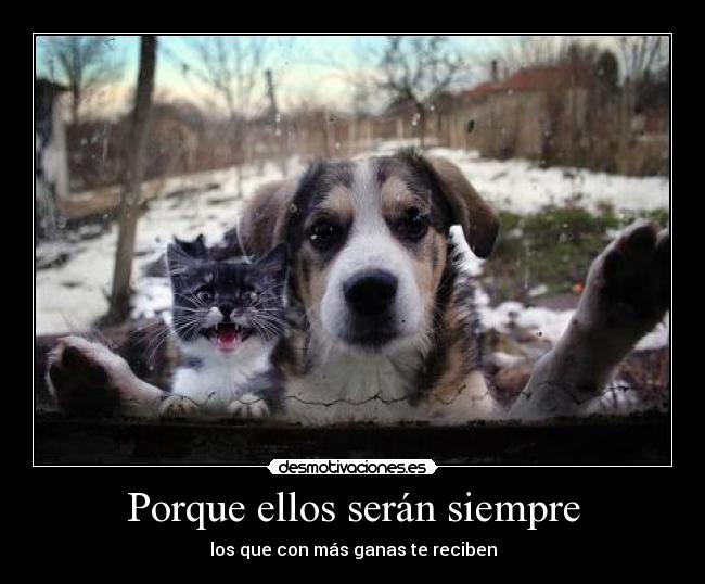 Porque ellos serán siempre - 