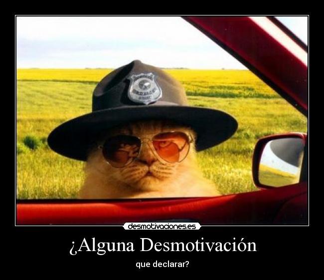 ¿Alguna Desmotivación - 