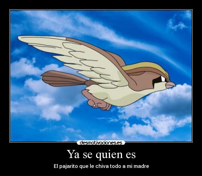 Ya se quien es - El pajarito que le chiva todo a mi madre