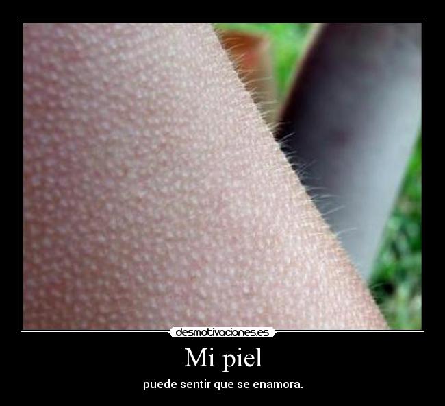 Mi piel - puede sentir que se enamora.