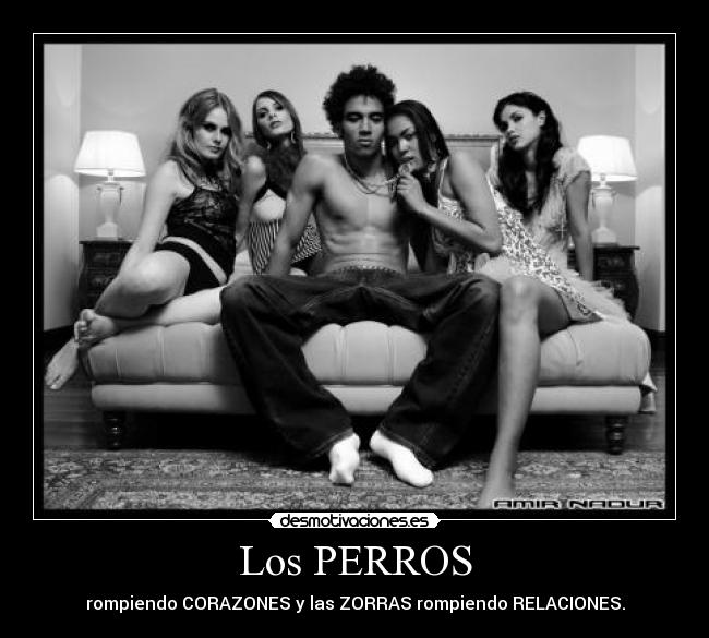 Los PERROS - 