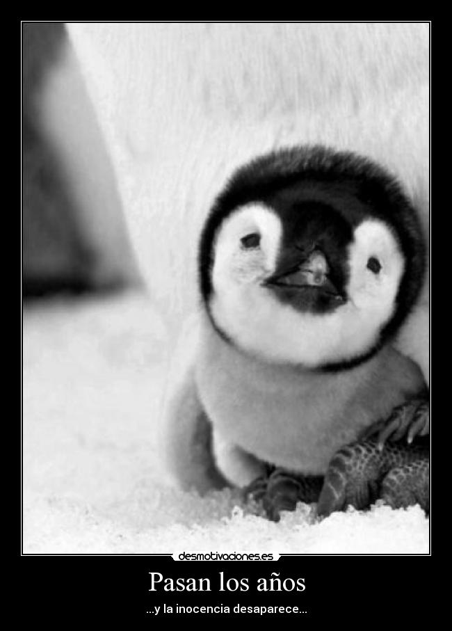 carteles dreadk cartel dedicado los pinguinos ojala lean agradezcan lol dicen que son mal educado desmotivaciones