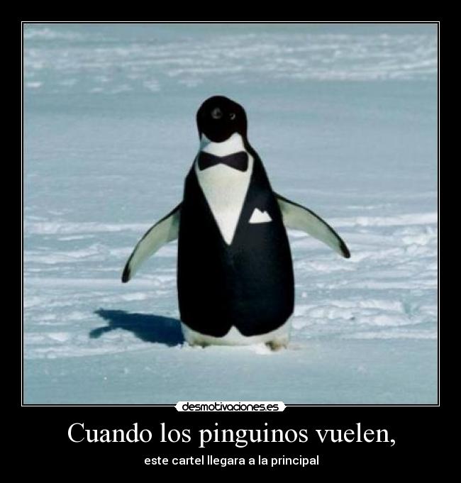 Cuando los pinguinos vuelen, - 