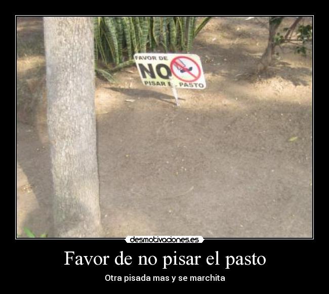 Favor de no pisar el pasto -