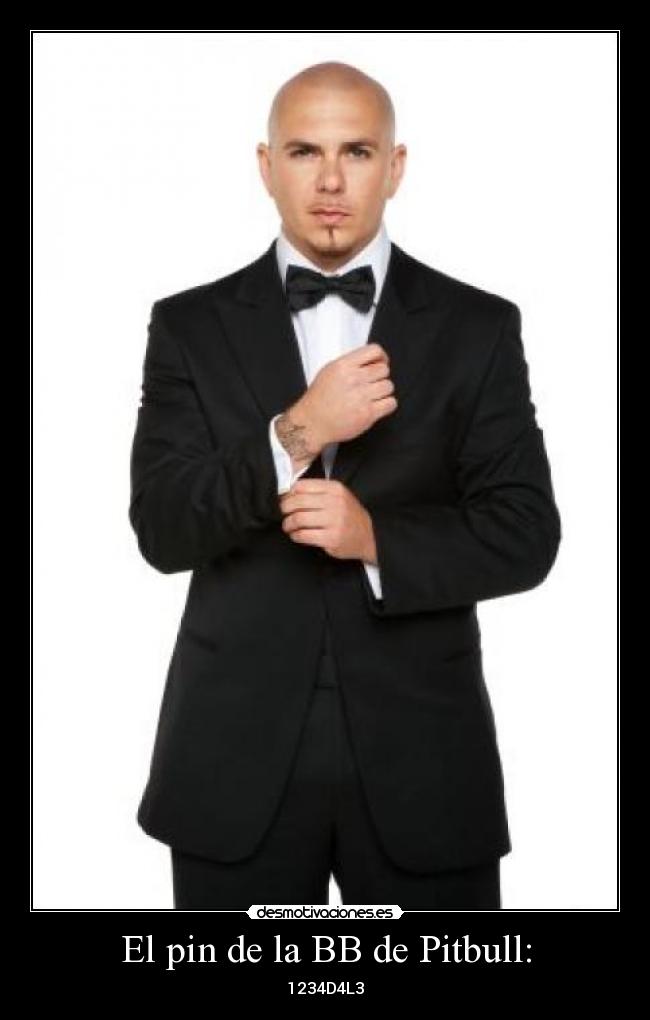 El pin de la BB de Pitbull: - 