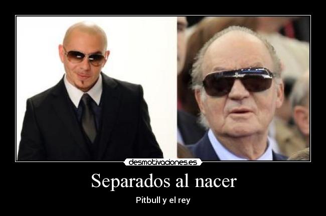 Separados al nacer - Pitbull y el rey