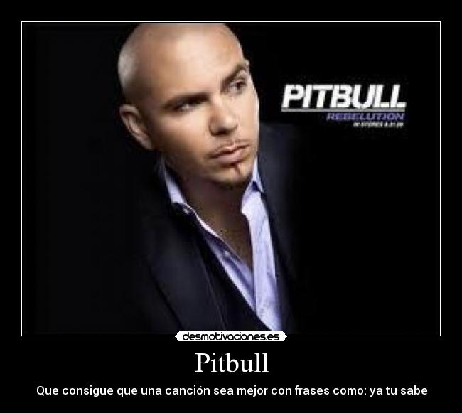 Pitbull - 