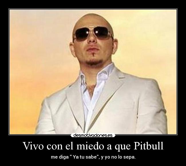 Vivo con el miedo a que Pitbull - me diga  Ya tu sabe, y yo no lo sepa.