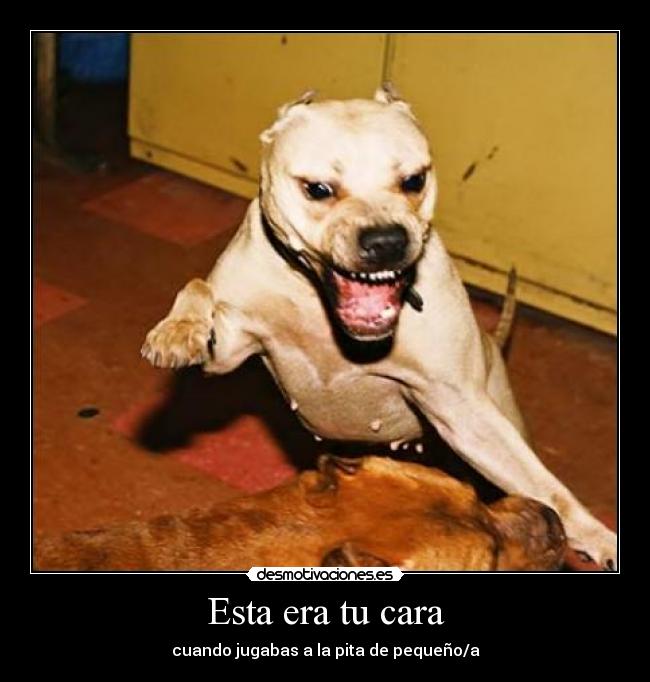 Esta era tu cara - cuando jugabas a la pita de pequeño/a