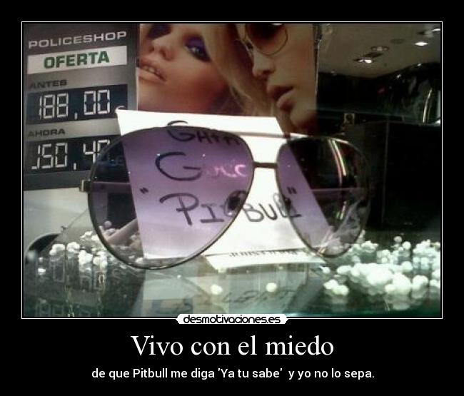 Vivo con el miedo - de que Pitbull me diga Ya tu sabe y yo no lo sepa.