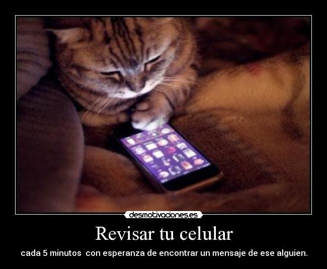 carteles revisar desmotivaciones