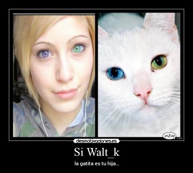 Si Walt_k - la gatita es tu hija...